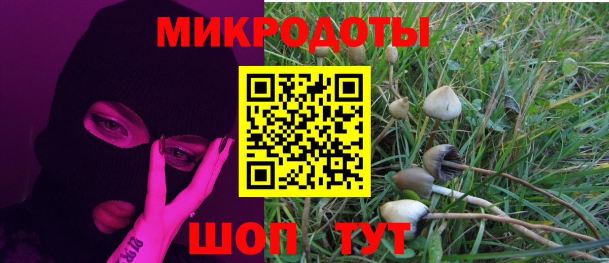 Галлюциногенные грибы ЛСД Заводоуковск